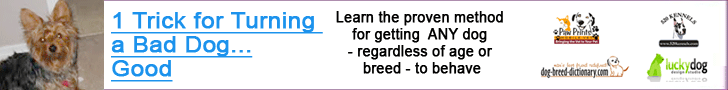 Perferct Pooch Training